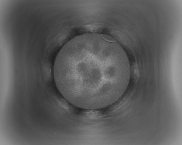 X0000112010615200908101343