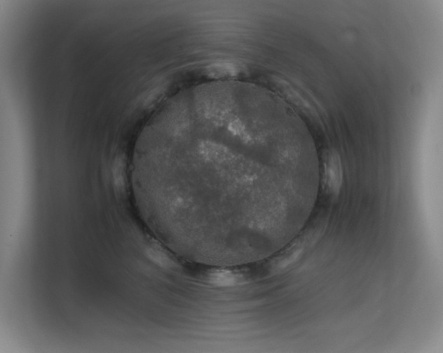 X0000112010616200908101343