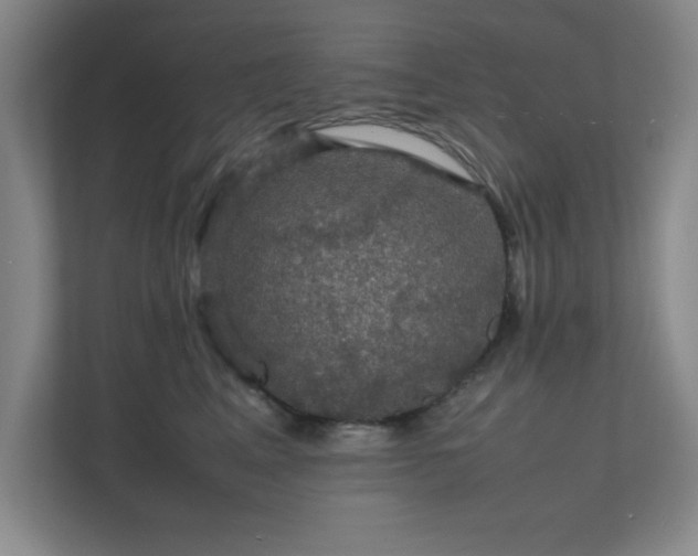 X0000112010617200908101343