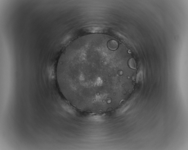 X0000112010620200908101343