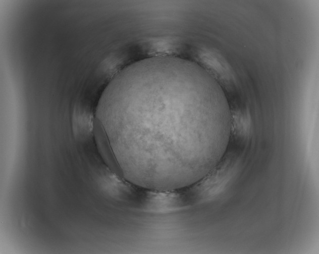 X0000112010621200908101343