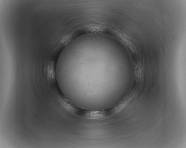 X0000112010622200908101343