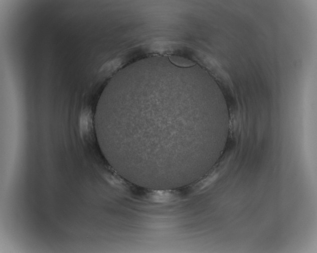 X0000112010623200908101343