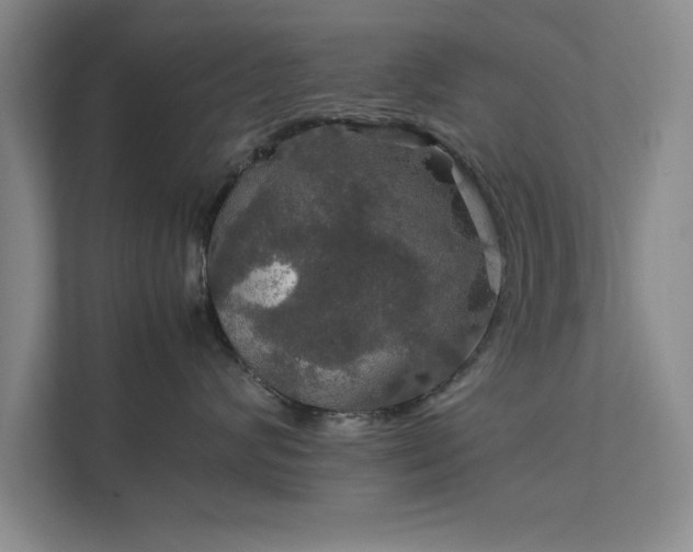 X0000112010624200908101343