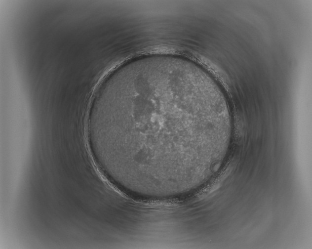 X0000112010625200908101342