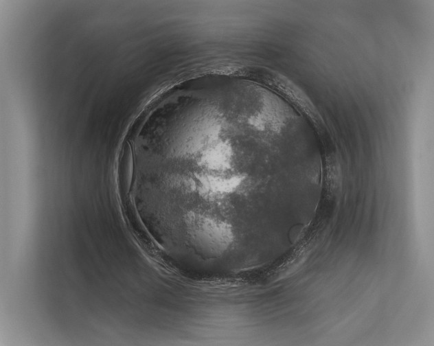 X0000112010626200908101342