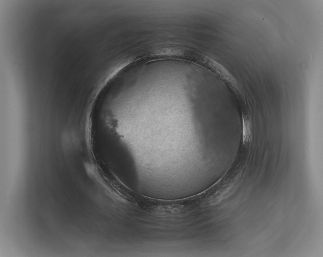 X0000112010627200908101342