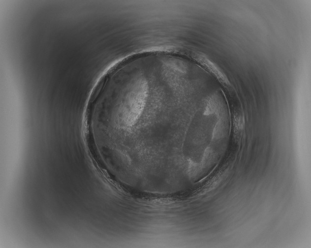 X0000112010628200908101342