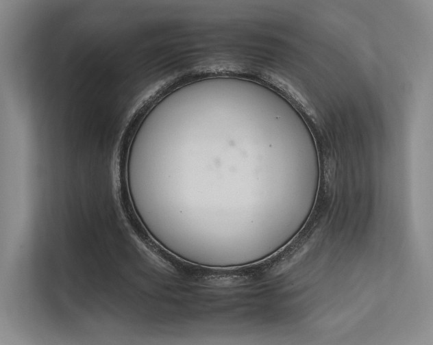 X0000112010629200908101342