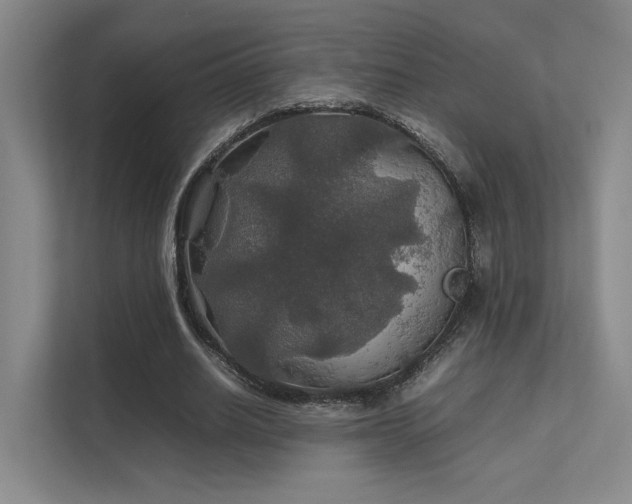 X0000112010630200908101342