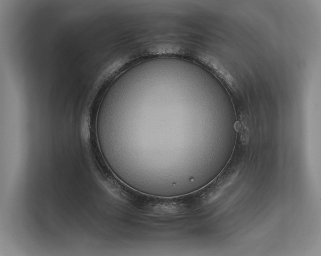 X0000112010631200908101342