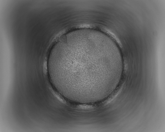 X0000112010633200908101342