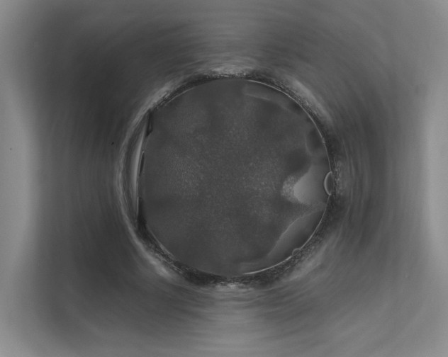 X0000112010634200908101343