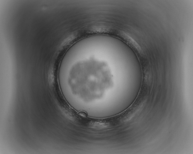 X0000112010635200908101343