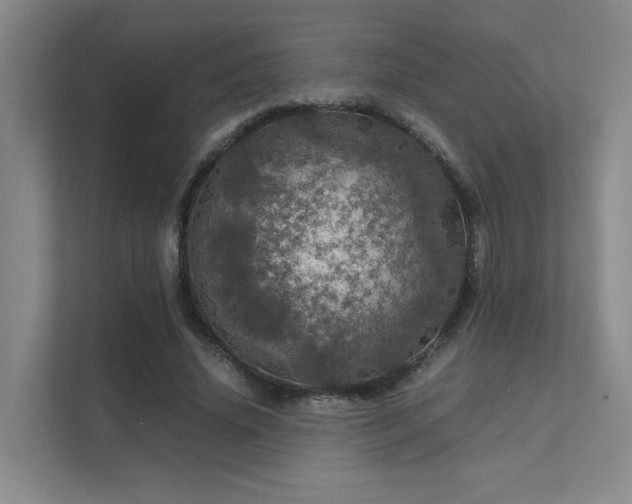 X0000112010636200908101343