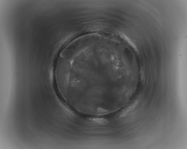 X0000112010637200908101343