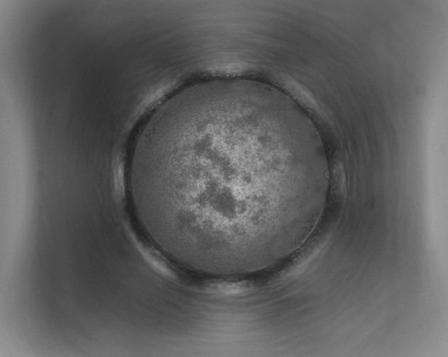 X0000112010638200908101343