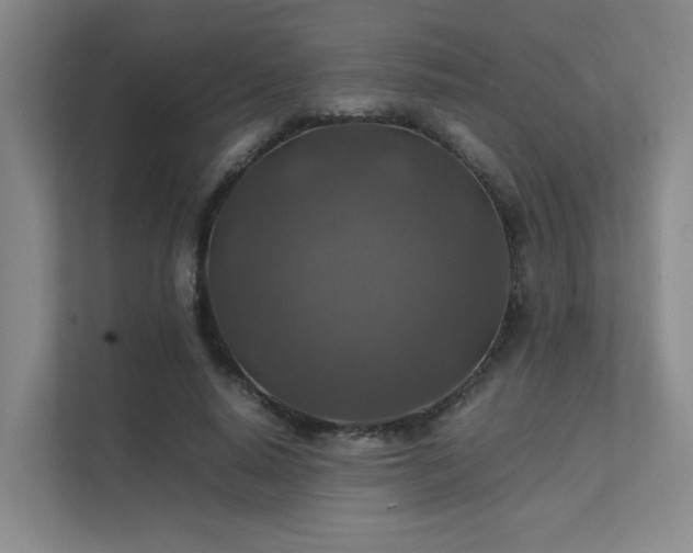 X0000112010640200908101343