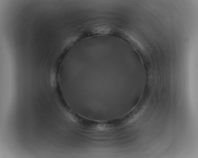 X0000112010641200908101343