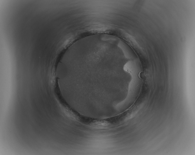 X0000112010642200908101343