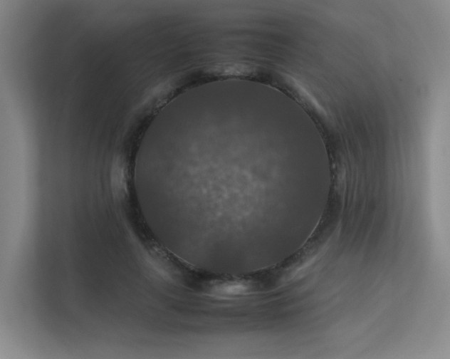 X0000112010643200908101343