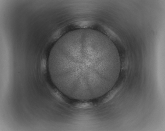 X0000112010646200908101343