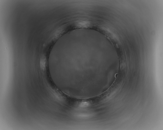 X0000112010647200908101343