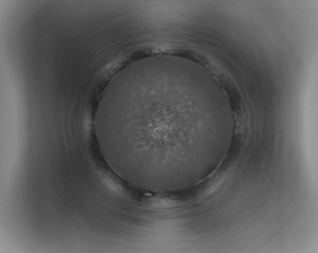 X0000112010648200908101343