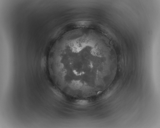 X0000112010649200908101343