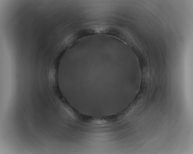 X0000112010650200908101343