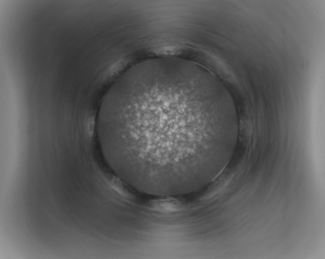 X0000112010652200908101343