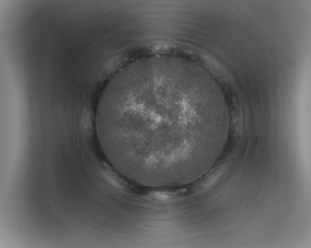 X0000112010654200908101343