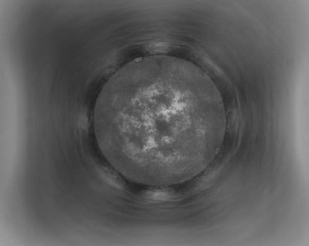 X0000112010655200908101343