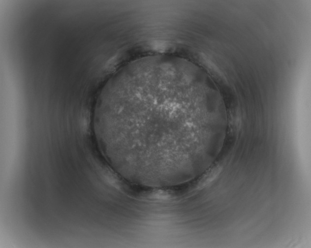 X0000112010656200908101343