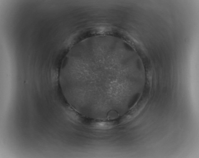 X0000112010657200908101343