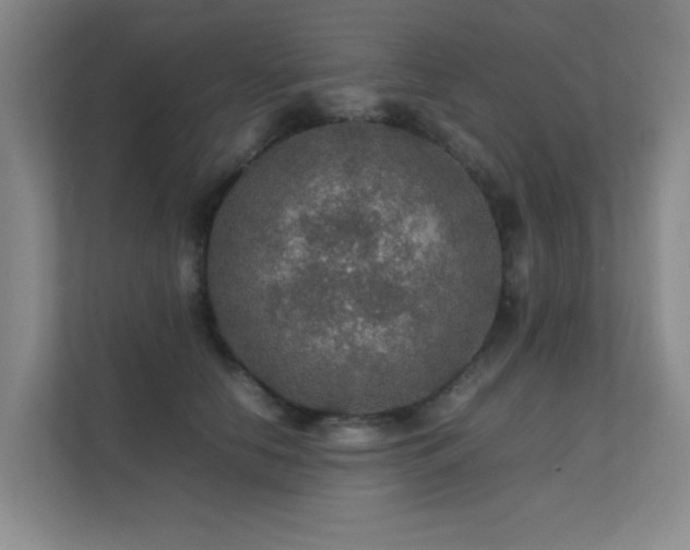 X0000112010658200908101343