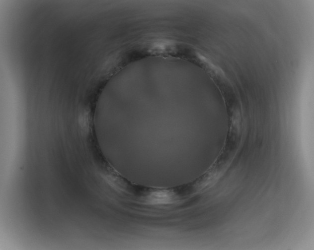 X0000112010659200908101343