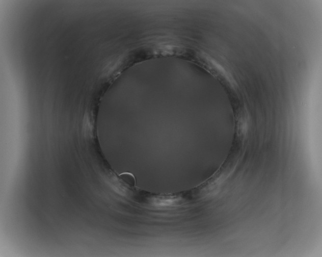 X0000112010661200908101343