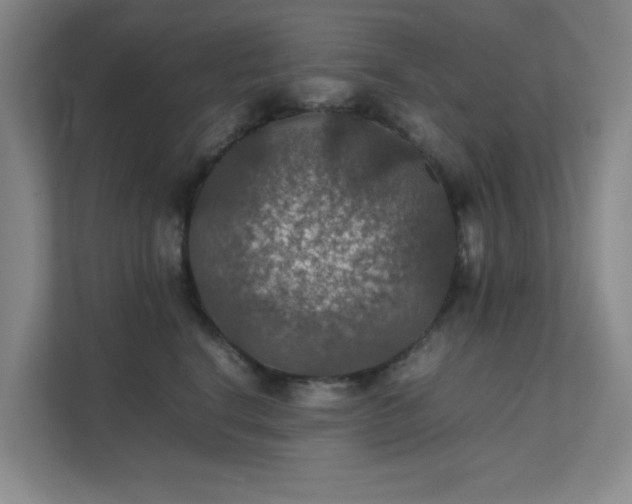 X0000112010664200908101343