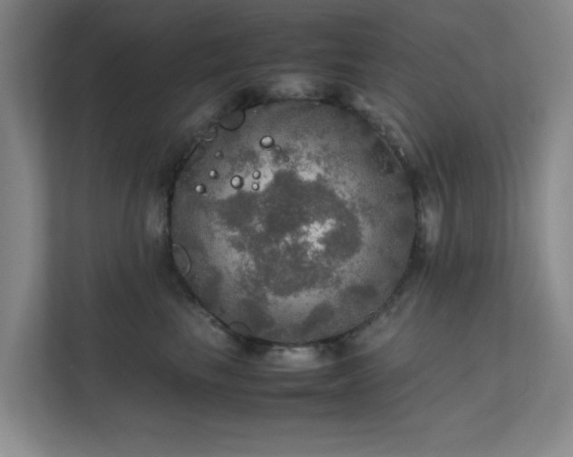 X0000112010665200908101343