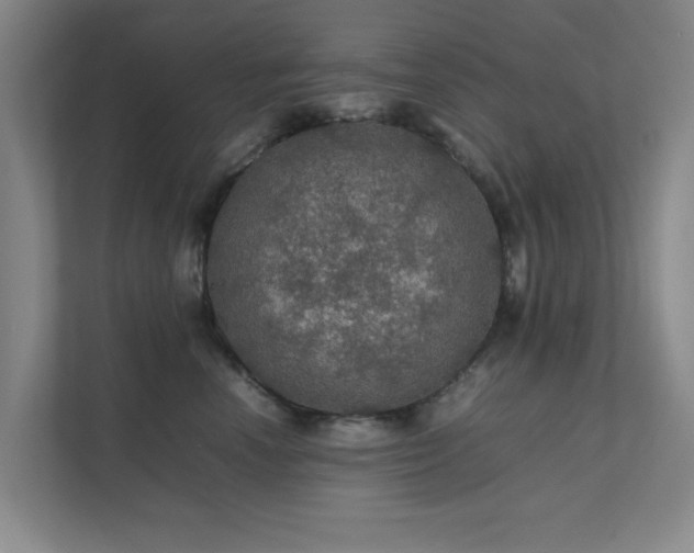 X0000112010666200908101343