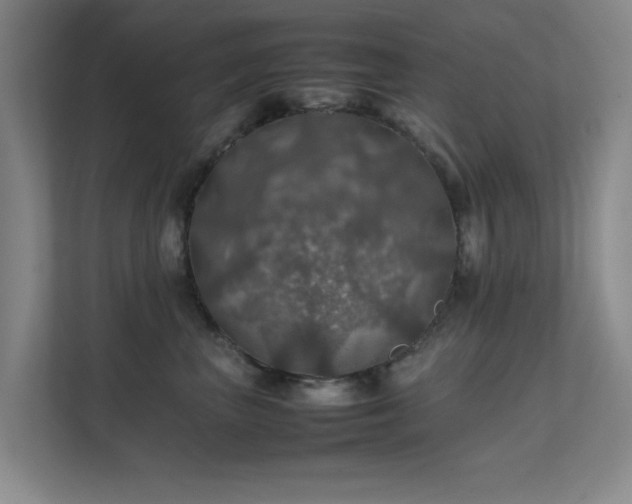 X0000112010667200908101343