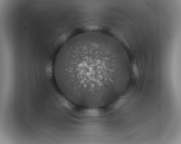 X0000112010668200908101343