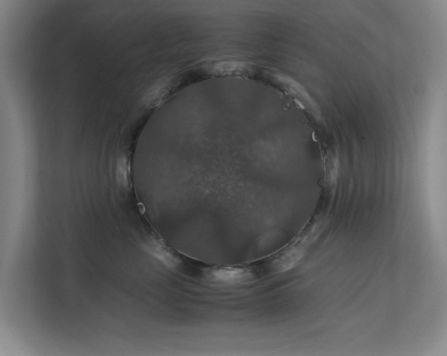 X0000112010669200908101343