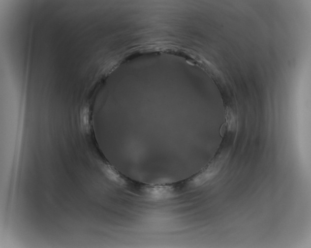 X0000112010670200908101343