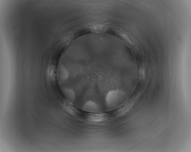 X0000112010671200908101343