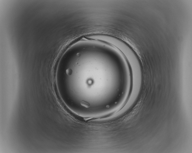 X0000112010673200908101342