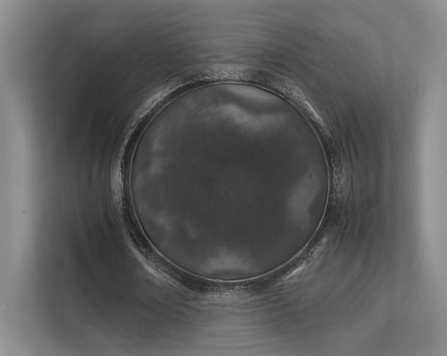 X0000112010674200908101342