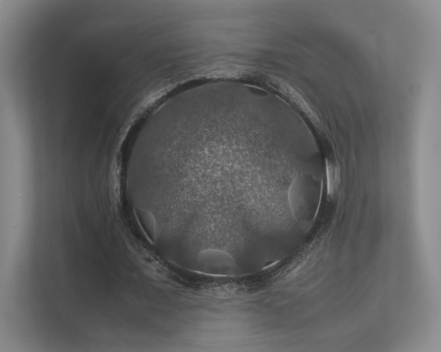 X0000112010675200908101342