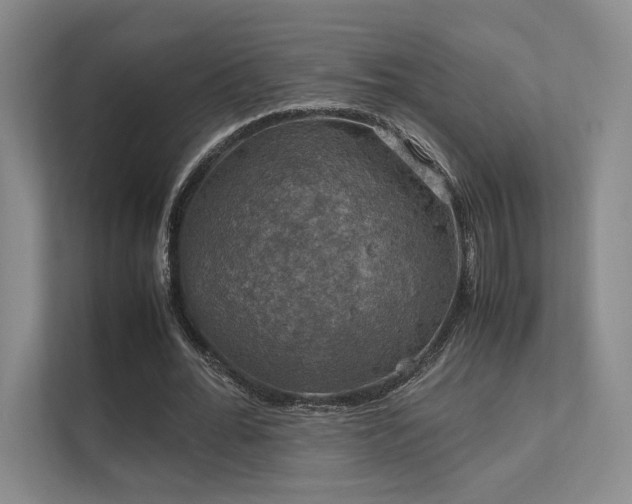 X0000112010676200908101342